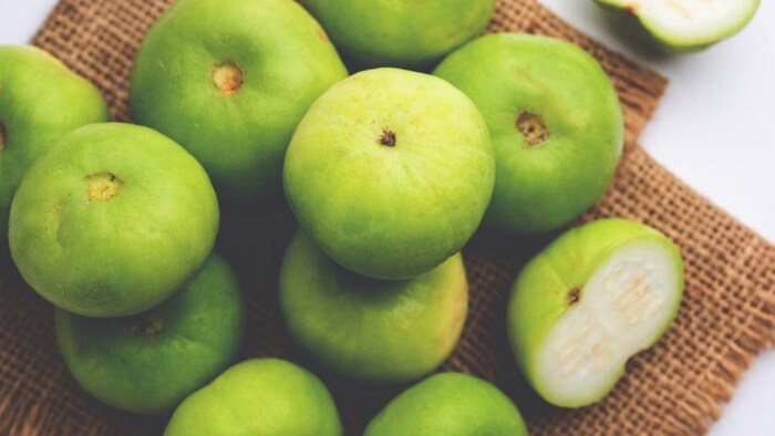 सस्ते में घर बैठे खरीदें टिंडे की बीज