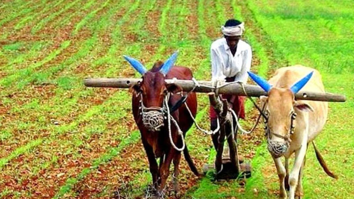 किसानों को रोजगार दे रही है जेटा कंपनी