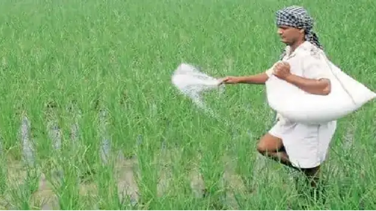 Soil health : खेतों में बेहिसाब नाइट्रोजन के इस्तेमाल से मिट्टी हो रही है बंजर, श्वसन गति भी हुई प्रभावित