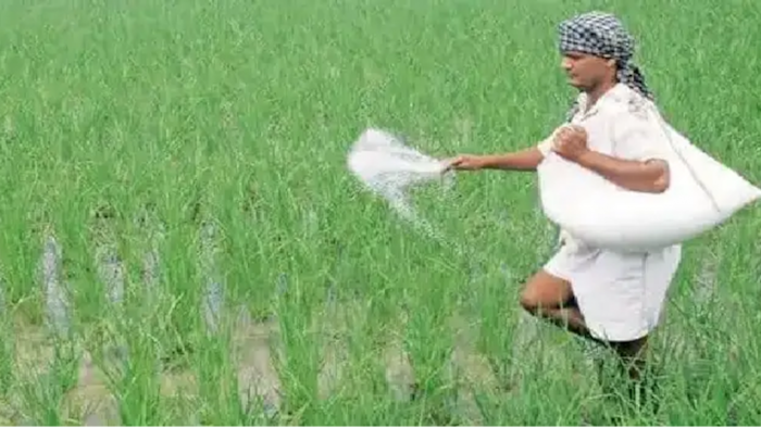 नाइट्रोजन की बढ़ती मात्रा से मिट्टी हो रही है बंजर