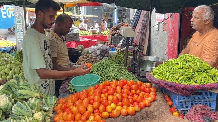कर्नाटक के कोलार में टमाटर के भाव में गिरावट देखी जा रही है
