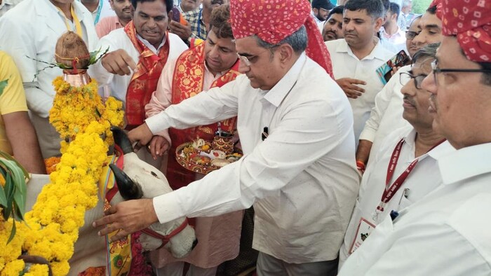 अब सीकर जिले की प्रत्येक ग्राम पंचायत में खोले गए पशु चिकित्सा केन्द्र. फोटो- DIPR