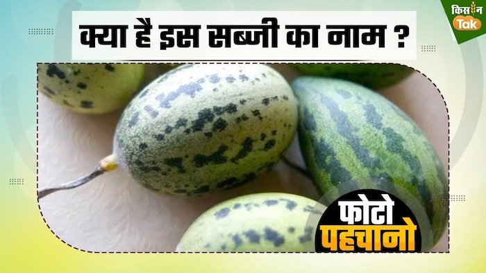 तरबूज की तरह दिखती है ये सब्जी जानें इसका नाम