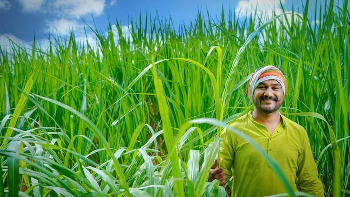 चकबंदी न्यायालयों द्वारा इस वित्तीय वर्ष में माह जुलाई तक कुल 60977 वादों का निस्तारण किया गया.