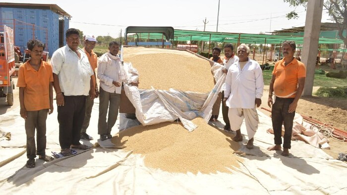 खुले बाजार में गेहूं के भाव में लगातार तेजी देखी जा रही है