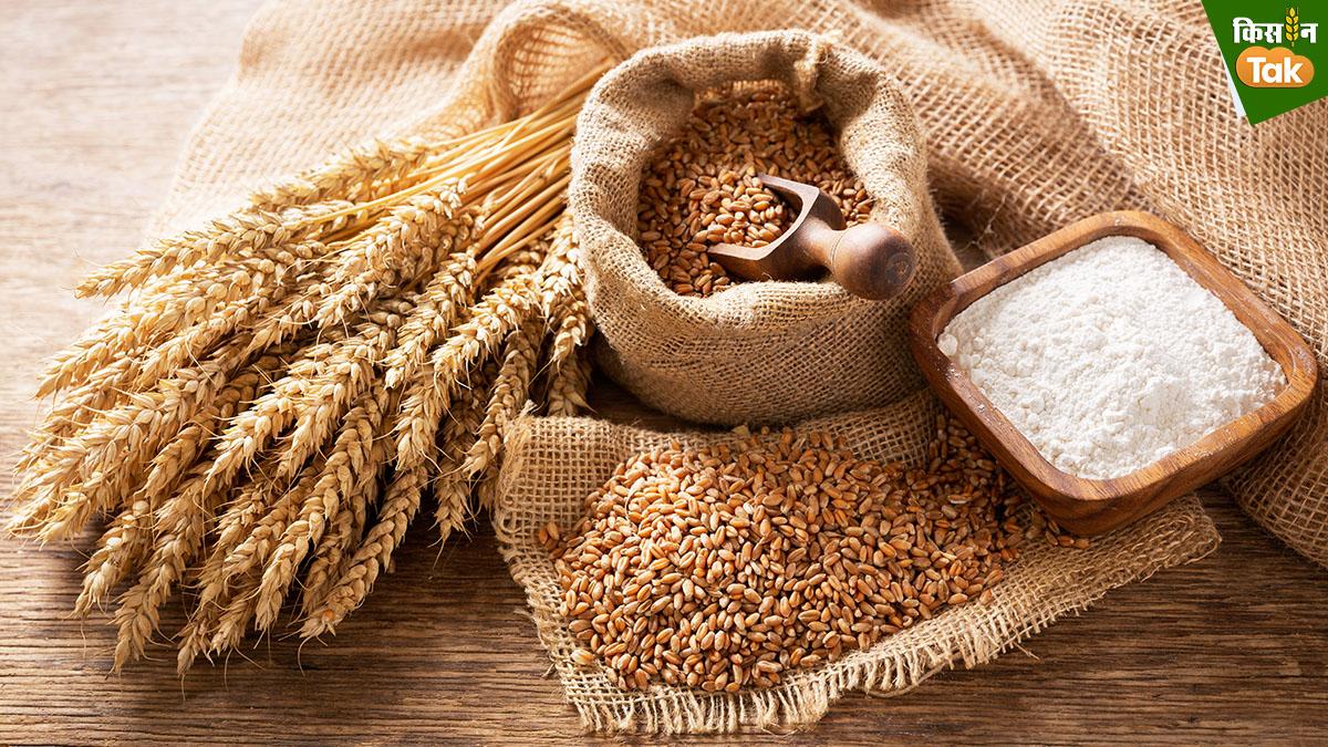 क्या ओएमएसएस से कम हुआ गेहूं-आटा का भाव?