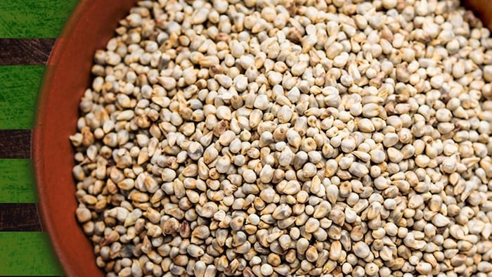 बाजरा का एमएसपी कितना है (Photo-Ministry of Agriculture).