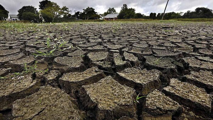 फरवरी 2024 तक अल नीनो जारी रहने की संभावना, सांकेतिक तस्वीर