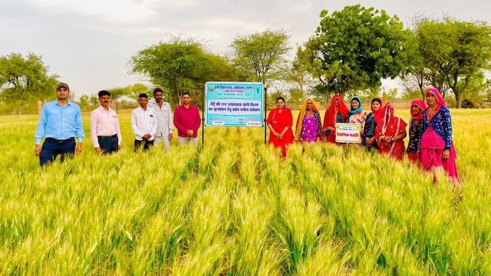 लाखों की नौकरी छोड़ शुरू की जैविक खेती