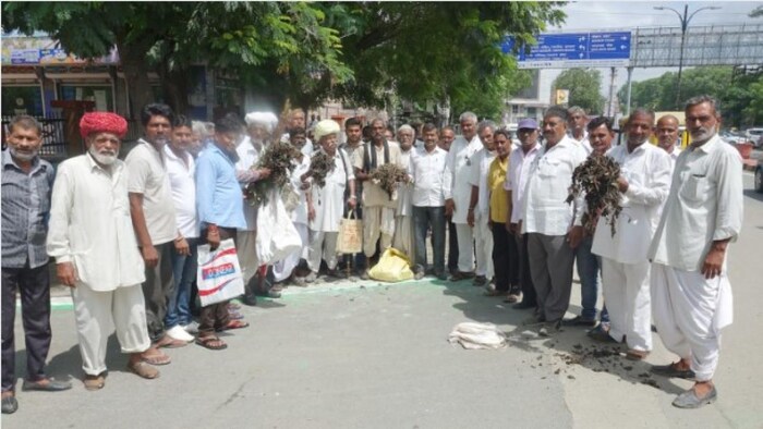 खराब हुई फसल के साथ विरोध करते किसान फोटोः किसान तक