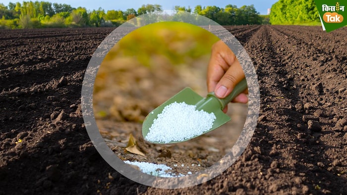 सुबह 10 बजे से शाम 5 बजे तक किसान यूरिया,डीएपी खरीद सकते है. (Kisan tak)