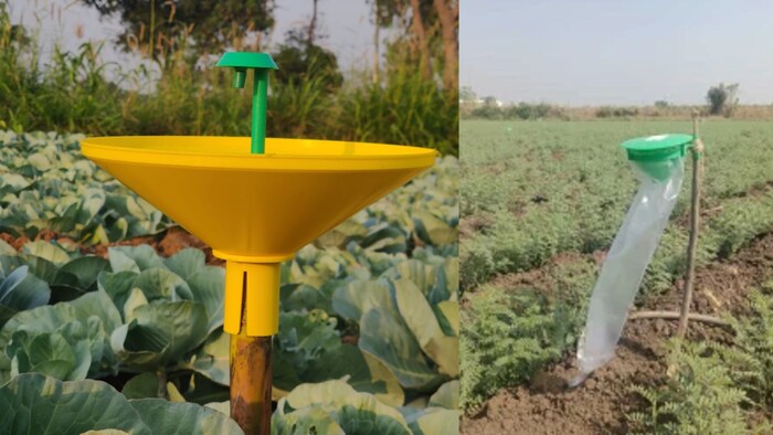 बिना रसायन के भी कीटों की रोकथाम