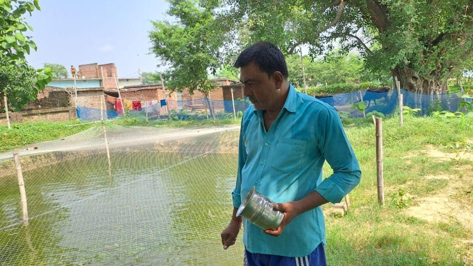 Success Story: 50 हजार की नौकरी छोड़ शुरू किया मछली पालन, अब 15 लाख रुपये तक पहुंची कमाई Success Story: 50 हजार की नौकरी छोड़ शुरू किया मछली पालन, अब 15 लाख रुपये तक पहुंची कमाई