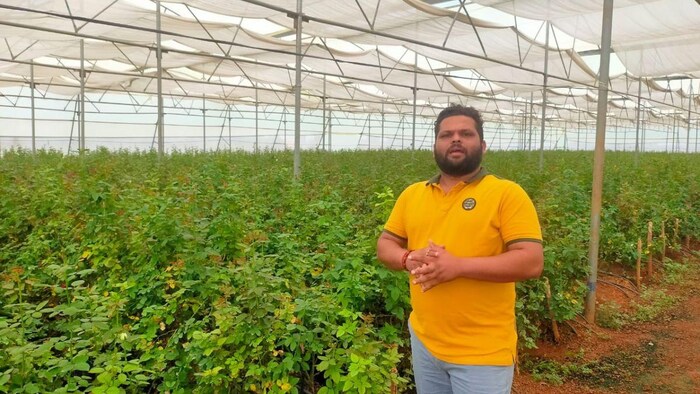छत्तीसगढ़ में युवा किसान अमर चंद्राकर पॉलीहाउस में कर रहे फूलों की खेती, फोटो: साभार छग. सरकार