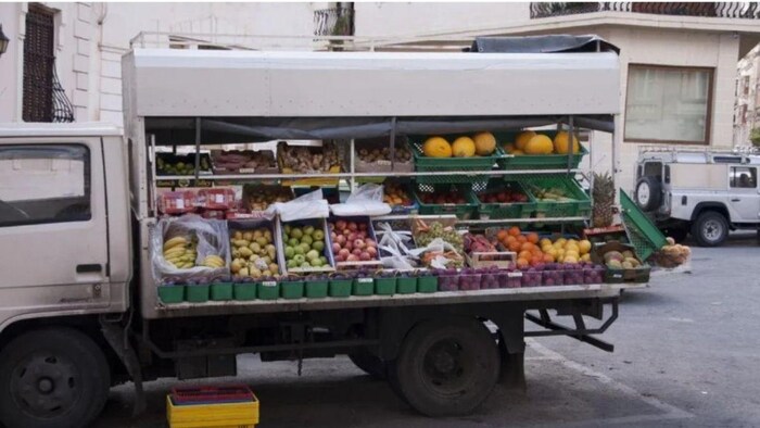 हिमाचल प्रदेश में शुरू किया गया मोबाइल वैन प्रोग्राम