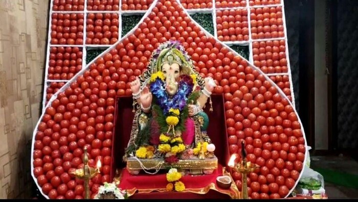 किसान ने टमाटरों का इस्तेमाल कर बनाया खूबसूरत गणपति बप्पा का दरबार