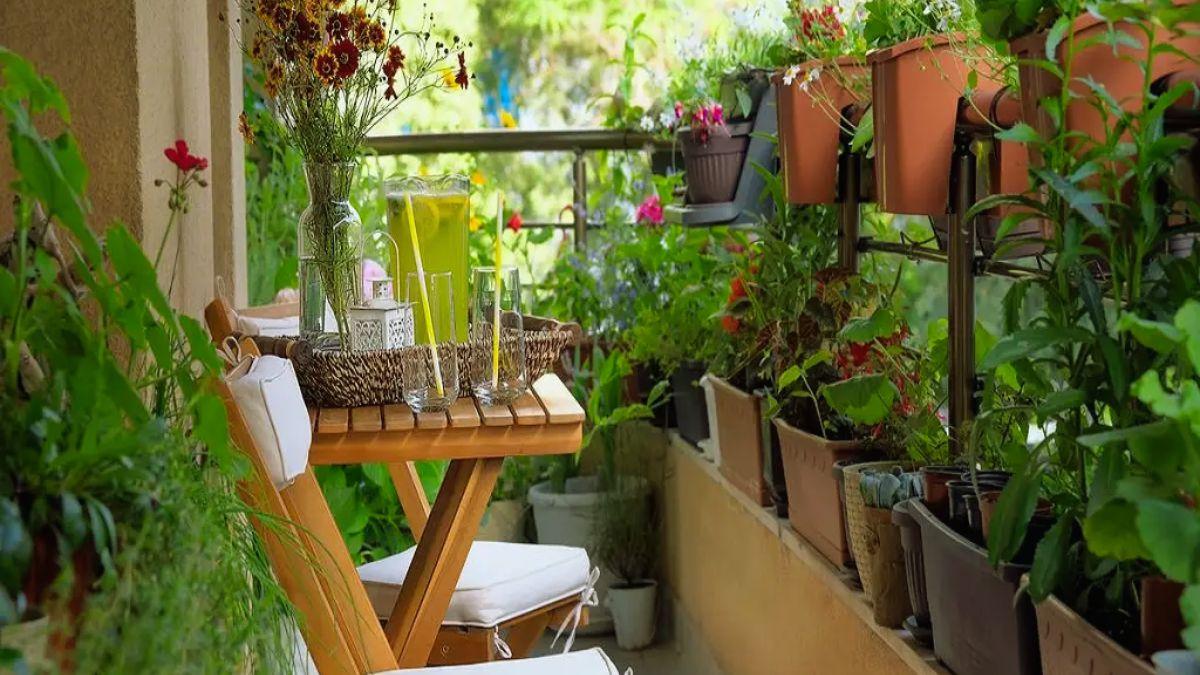 Home Gardening Tips: गार्डनिंग का है शौक, तो इन बेसिक ट्रिक्स के साथ गार्डन को बनाएं हरा-भरा