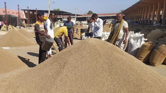 राजस्थान मंडी भाव