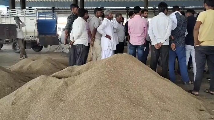 नागौर के जीरे का भाव लगातार बढ़ता जा रहा है