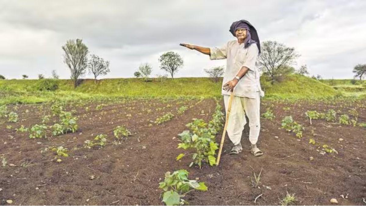 Monsoon Returns: तेलंगाना में देर से हुई बारिश से किसानों को मिली राहत, बच गई  खरीफ फसल