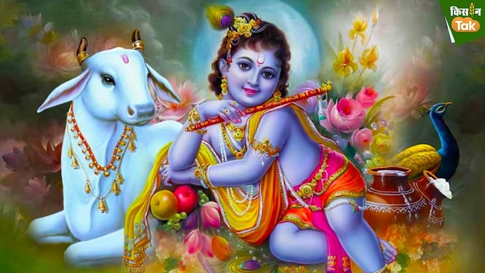 जानिए आखिर क्यों और कैसे श्रीकृष्ण का नाम पड़ा गोपाल