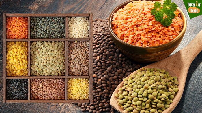 देश में दालों के रकबे में गिरावट आई है