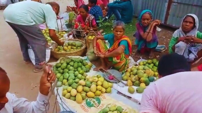 पश्चिम बंगाल के मालदा आम को मिली जीआई टैग