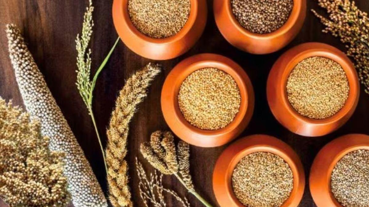 जी20 समिट में मिलेट्स की धूम, जानिए भारत कितना करता है इसका निर्यात