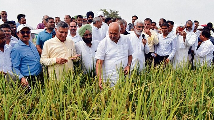 प्राकृतिक खेती के लिए बनेंगे मॉडल गांव