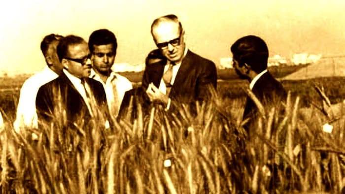 पूसा कैंपस, दिल्ली स्थित गेहूं के खेत में नॉर्मन बोरलॉग के साथ डॉ. एमएस स्वामीनाथन (Photo-IARI).