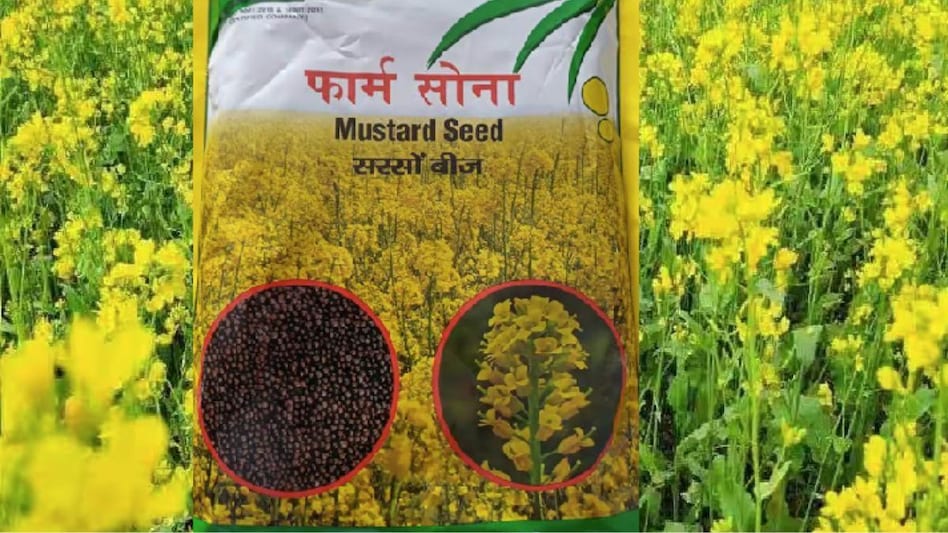 Buy Seeds Online: 150 रुपये में खरीदें सरसों का ये उन्नत बीज, ऑनलाइन घर मंगवाने का जान लें तरीका Buy Seeds Online: 150 रुपये में खरीदें सरसों का ये उन्नत बीज, ऑनलाइन घर मंगवाने का जान लें तरीका