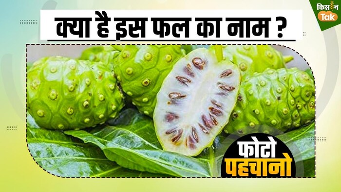 पत्ते ही नहीं, इसकी जड़े भी हैं कारगर