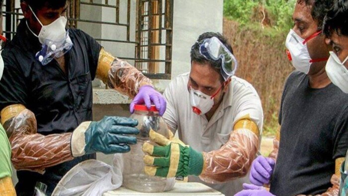 केरल के कोझिकोड जिले में फैला निपाह वायरस, सांकेतिक तस्वीर