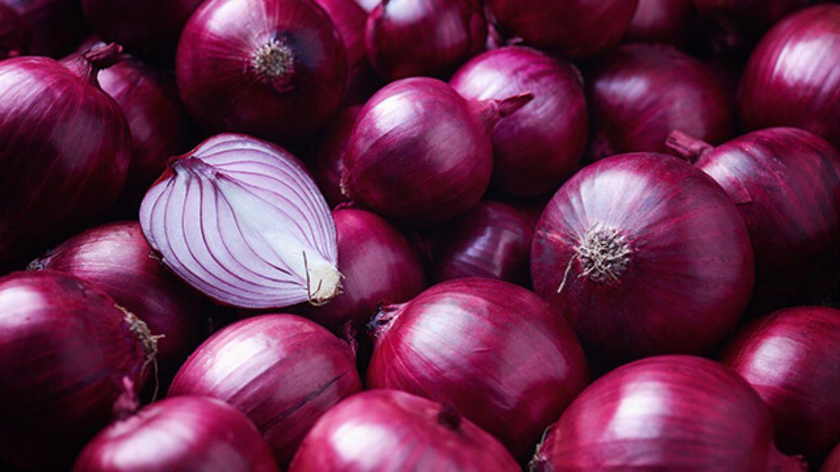 Onion Price Rise: नासिक के प्याज व्यापारियों की हड़ताल जारी, अब तक किसानों को हुआ करोड़ों का नुकसान