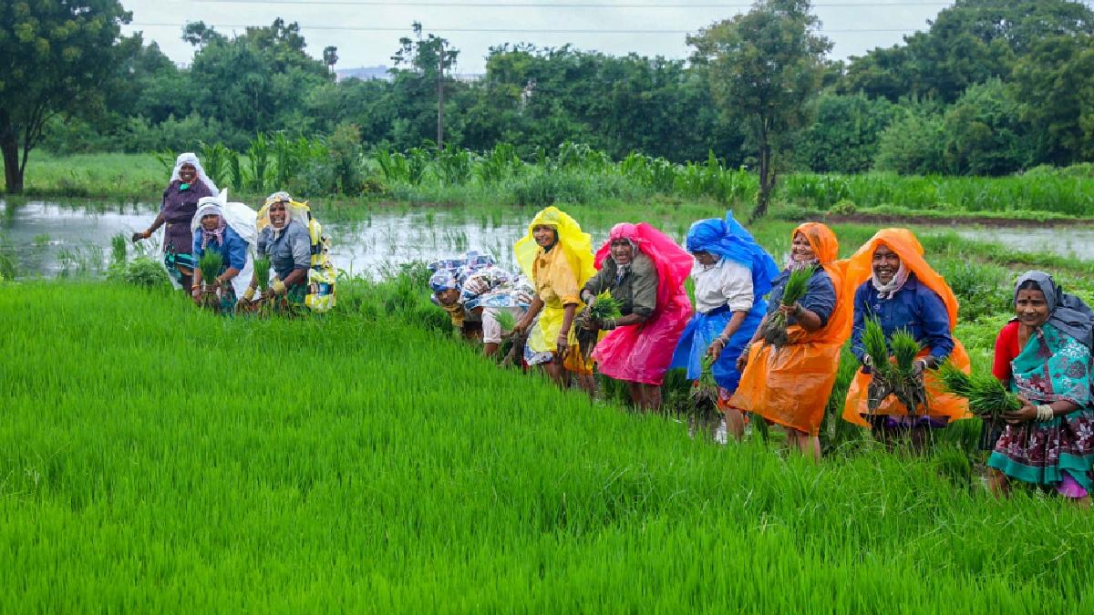 रबी फसलों के लिए नहीं होगी पानी की कमी, अल-नीनो को मात देने के लिए एक्टिव होगा IOD