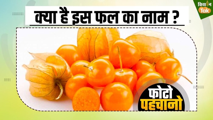 क्या है इस फल का नाम और फायदे?