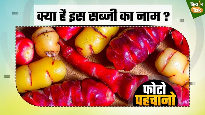 क्या है इस अनोखी सब्जी का नाम