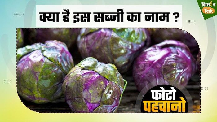 क्या है इस रंगीन सब्जी का नाम?