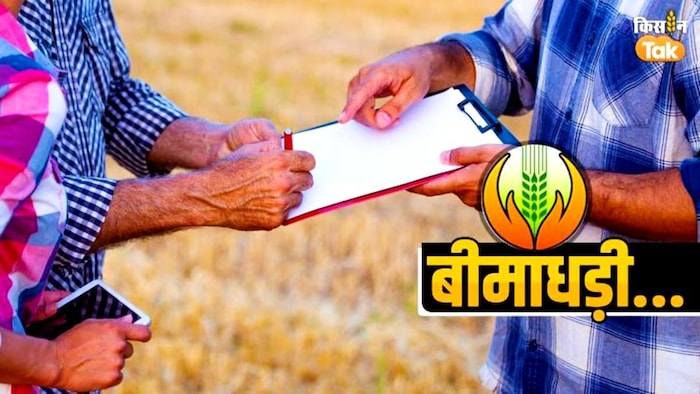 प्रीमियम लेने के बावजूद एआईसी ने क्यों नहीं किया फसल बीमा (Photo-Kisan Tak).