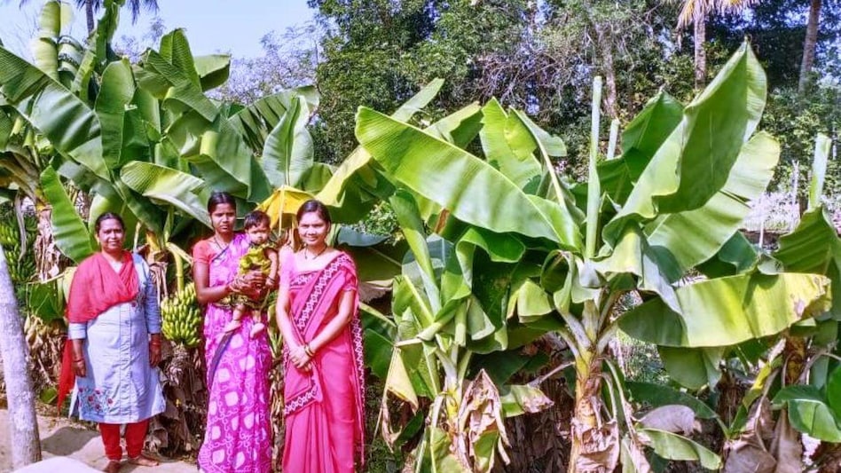 Good News: छत्तीसगढ़ में आंगनबाड़ी कर्मियों को सरकार की सौगात, रिटायरमेंट की उम्र बढ़ाई गई Good News: छत्तीसगढ़ में आंगनबाड़ी कर्मियों को सरकार की सौगात, रिटायरमेंट की उम्र बढ़ाई गई
