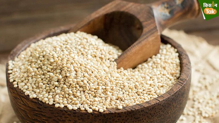 जानिए किनोवा के बारे में