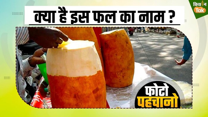 चमत्कारी गुणों से भरा है यह फल, भगवान से जुड़ा है इसका नाम