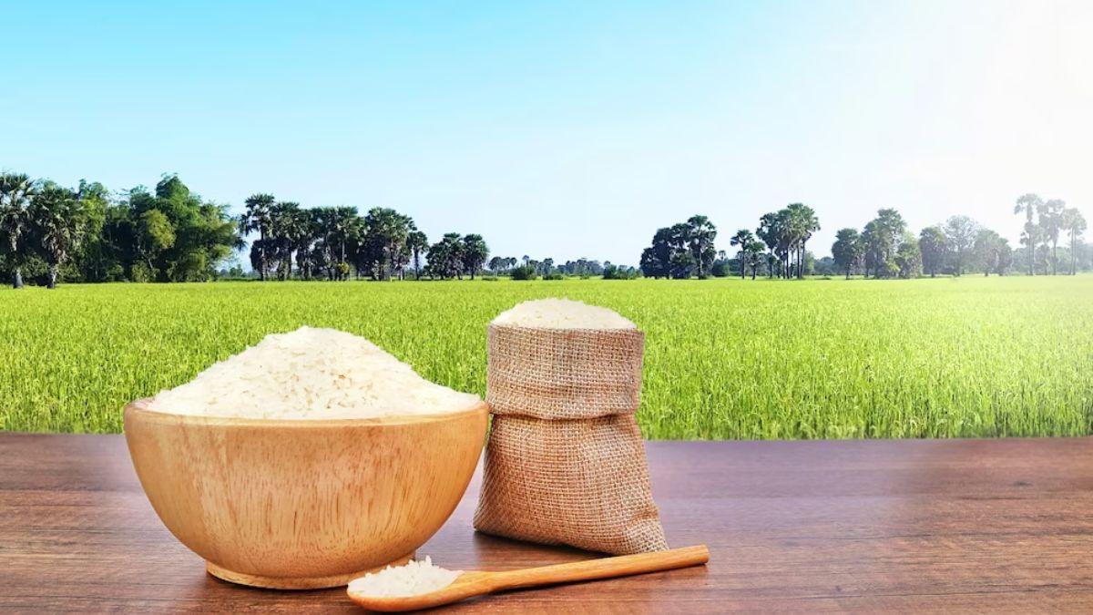 Rice Procurement : बघेल ने कहा, केंद्रीय पूल में छत्तीसगढ़ के चावल की खरीद की मात्रा को न घटाए केंद्र