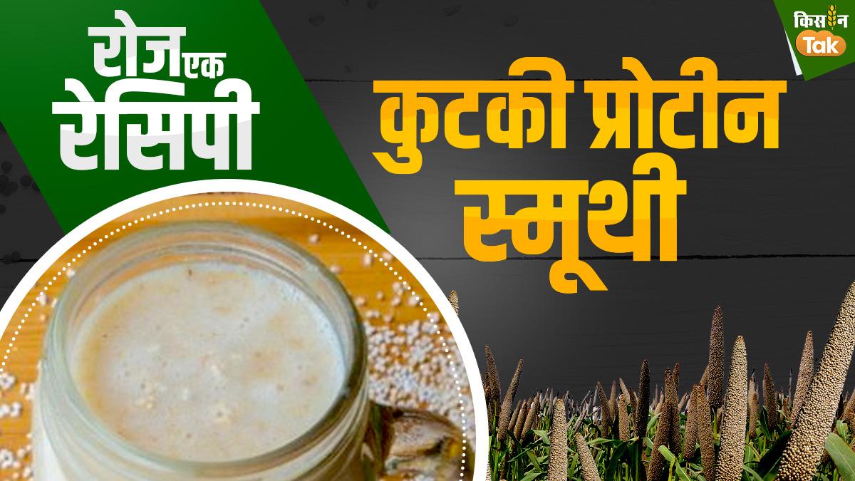Millet Recipe: वजन घटाने के लिए अपनी डाइट में शामिल करें कुटकी प्रोटीन स्मूदी, जानें क्या है रेसिपी