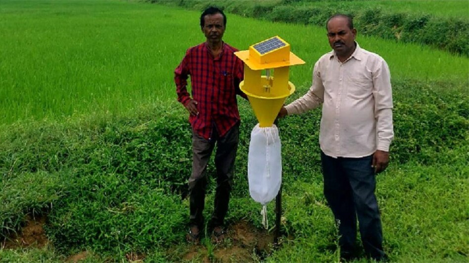 Crop pest control : मप्र के किसानों को कीट नियंत्रण के लिये खूब भा रहा सोलर लाइट ट्रेप का इस्तेमाल  Crop pest control : मप्र के किसानों को कीट नियंत्रण के लिये खूब भा रहा सोलर लाइट ट्रेप का इस्तेमाल