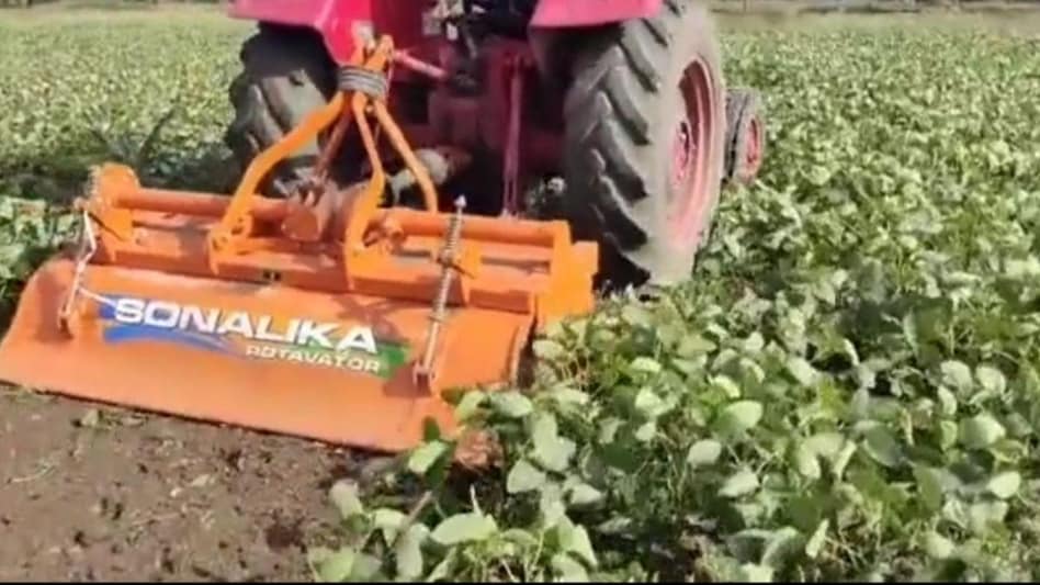 Maharashtra News : बारिश की कमी से सूखी सोयाबीन की फसल, किसान ने पूरे खेत में चलाया ट्रैक्टर Maharashtra News : बारिश की कमी से सूखी सोयाबीन की फसल, किसान ने पूरे खेत में चलाया ट्रैक्टर