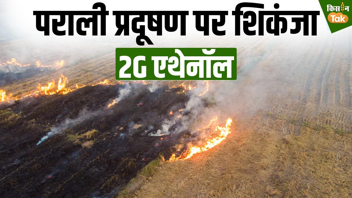 Ethanol: 2जी इथेनॉल करेगा कमाल, पेट्रोल, पराली और प्रदूषण पर कसेगा शिकंजा, जानें अवसर और चुनौतियां