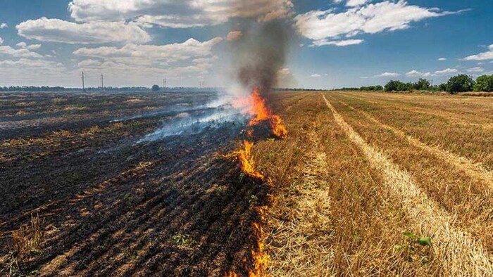 पराली प्रबंधन को लेकर सरकार का बड़ा फैसला