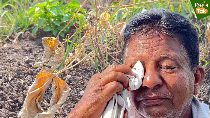 अल नीनो संकट के इस साल में किसानों की मुश्किलें सूखे ने बढ़ाई हुई हैं. फोटो किसान तक-16:9