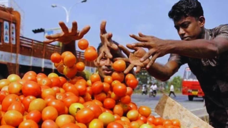 Tomato Price: फिर नाले-नालियों में फेंकने लगे टमाटर, 10 रुपये तक गिरा टमाटर का भाव Tomato Price: फिर नाले-नालियों में फेंकने लगे टमाटर, 10 रुपये तक गिरा टमाटर का भाव